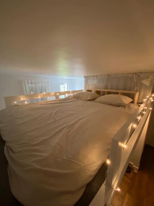 Appartement De Charme Pres Du Stade De France Saint-Denis  Esterno foto